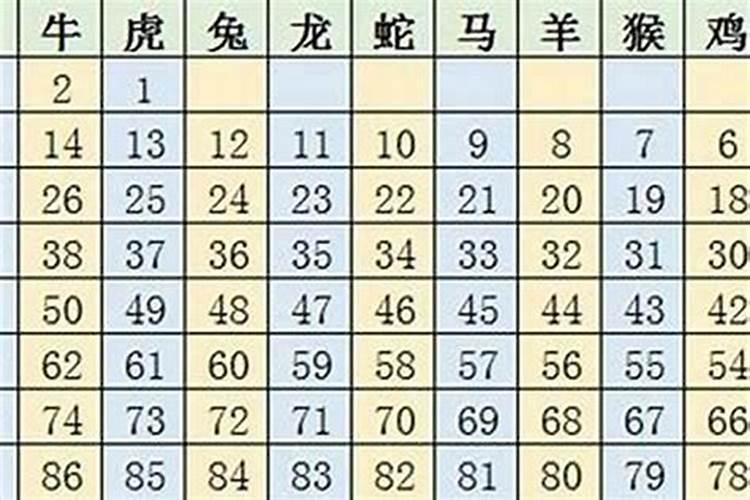 1991年属羊是什么命