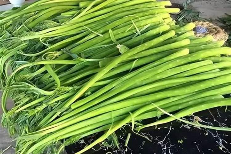 中元节是什么节？要怎么过？有什么习俗？