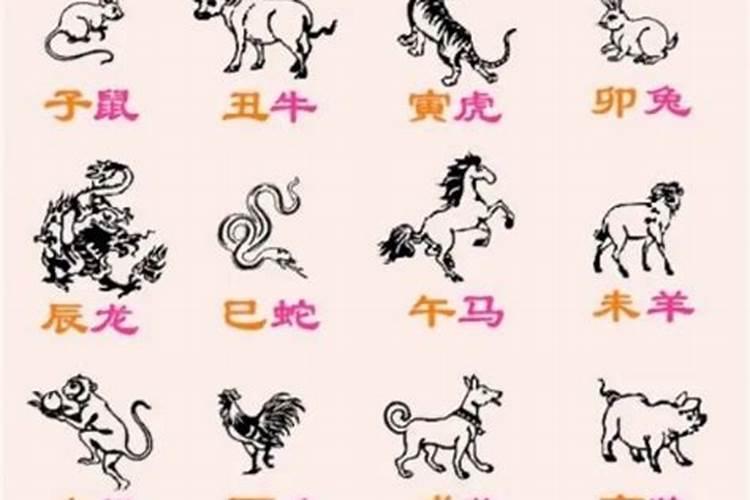 属蛇女最佳婚配属相第一名