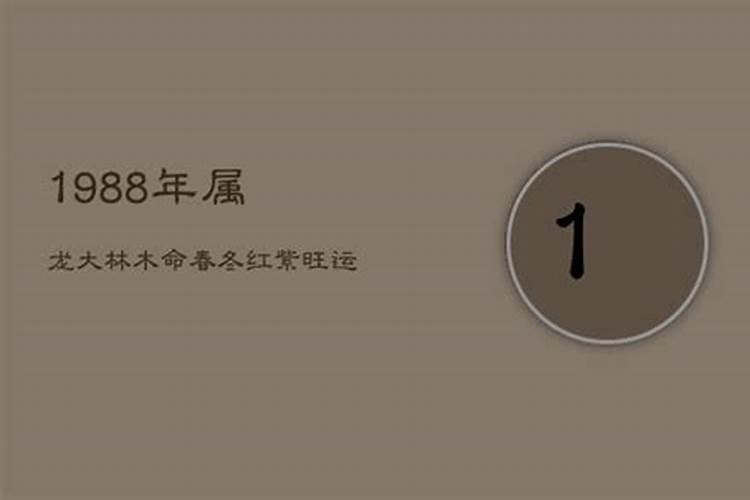 1988年大林木命婚姻和桃花运
