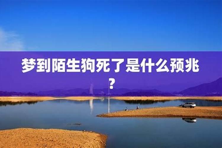 王者荣耀七夕仍可直售返场的12款皮肤