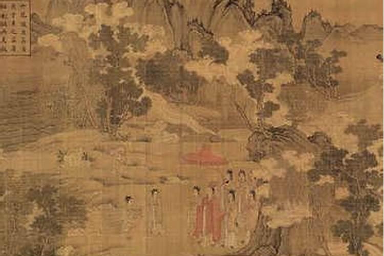 叶子又长又宽叫什么兰花 兰花都有哪些品种