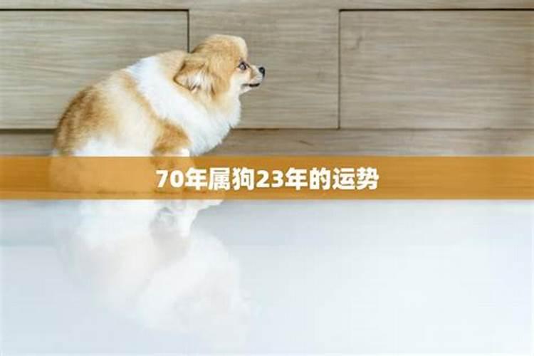 70年属狗人一生运势