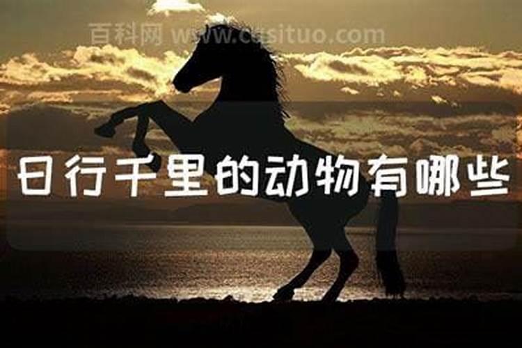 梦见表妹结婚了的预兆