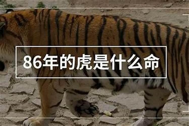 自己开光的方法如下？不懂速看!