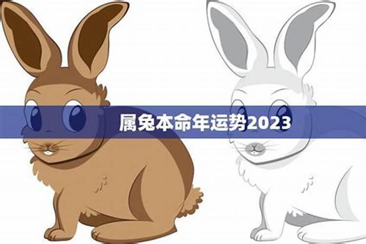 87年兔本命年运势 事业并不理想且财运运势一般