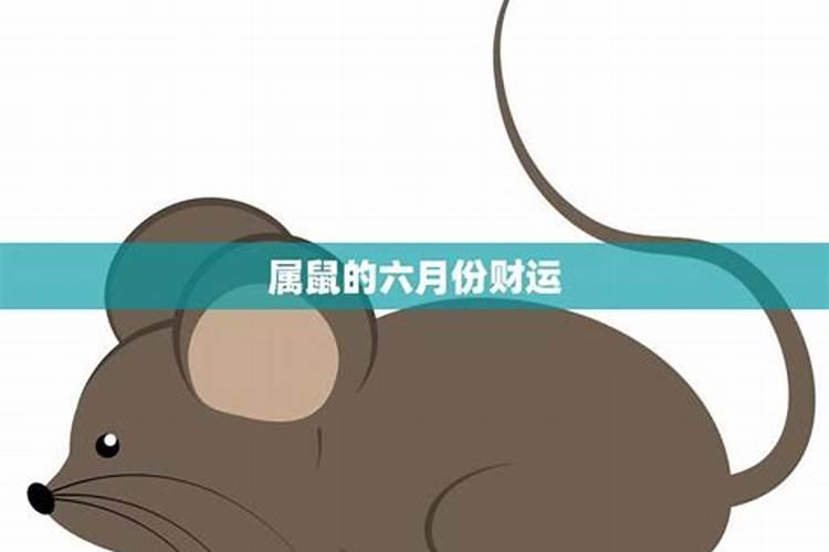 怎样查自己的财库表