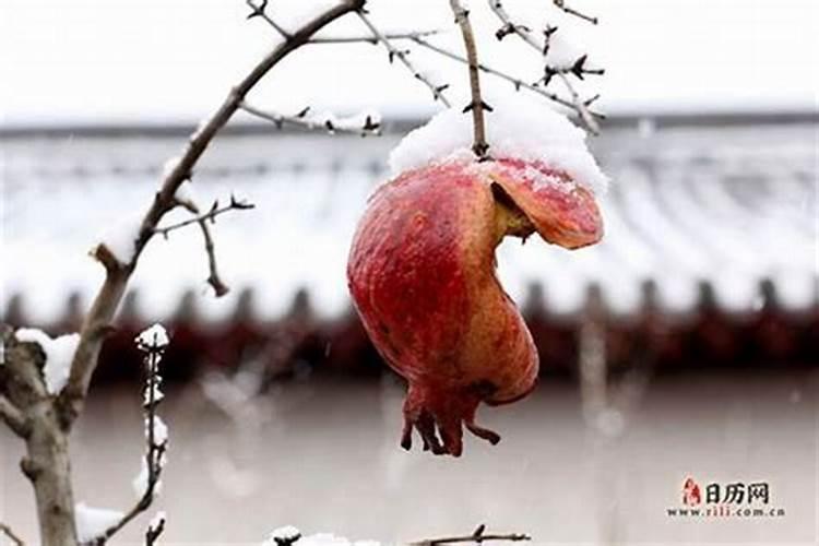 交运当天忌讳什么