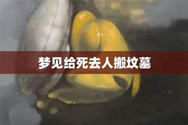 1979年属羊2025年运势完整版