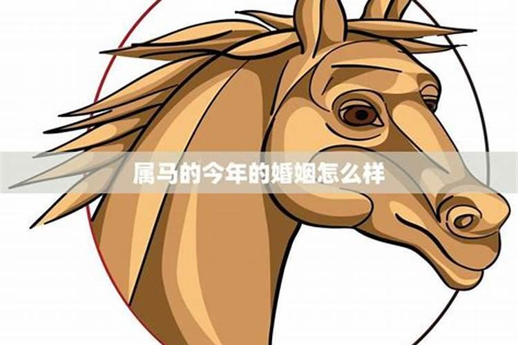 诗经骂人的句子