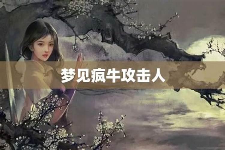 九六年属鼠2025年运势