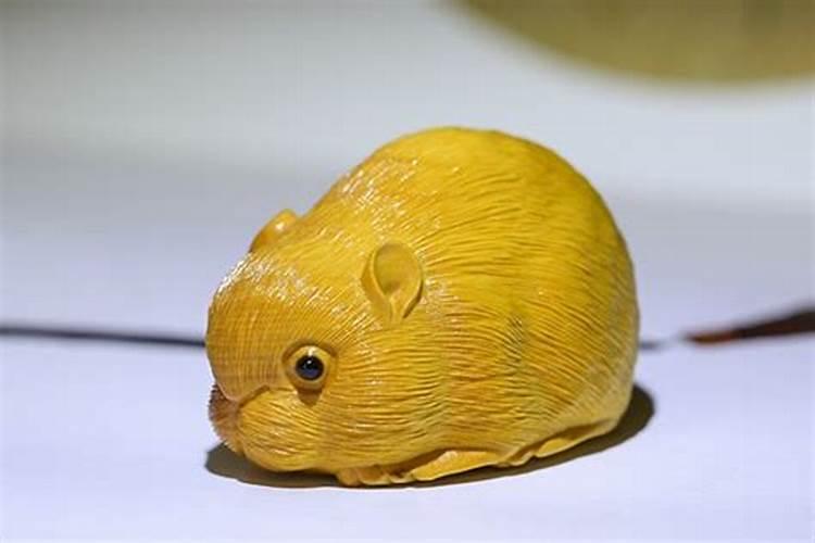 属鼠本命年要注意什么
