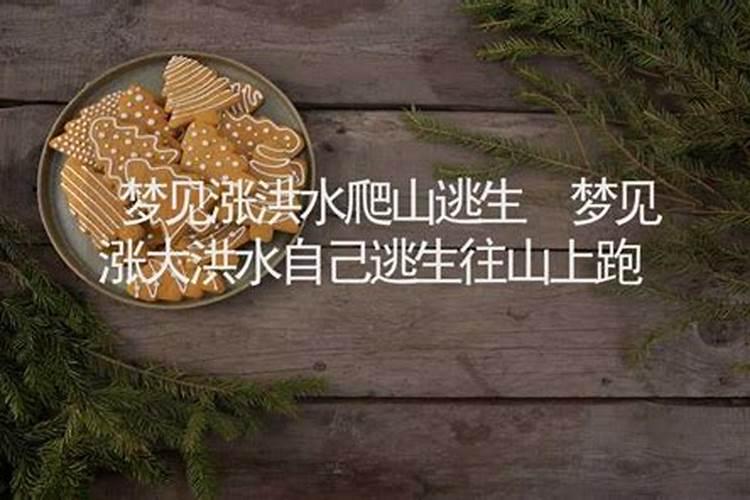 属羊男人和属羊女人相配吗