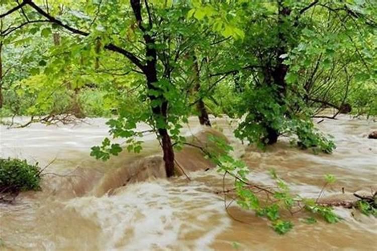 梦见大水漫路无法通过是什么预兆