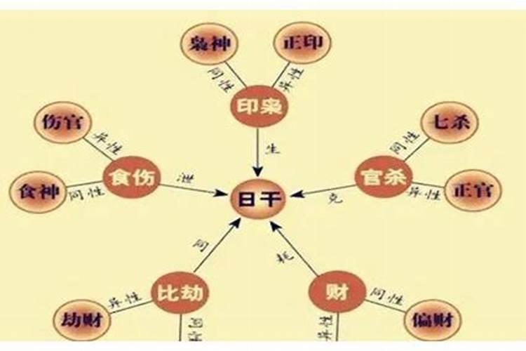 八字十神什么意思