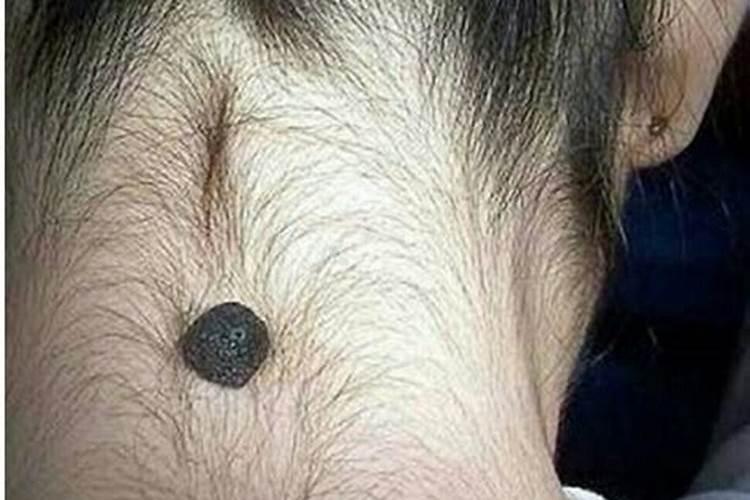 梦见听到父亲死讯
