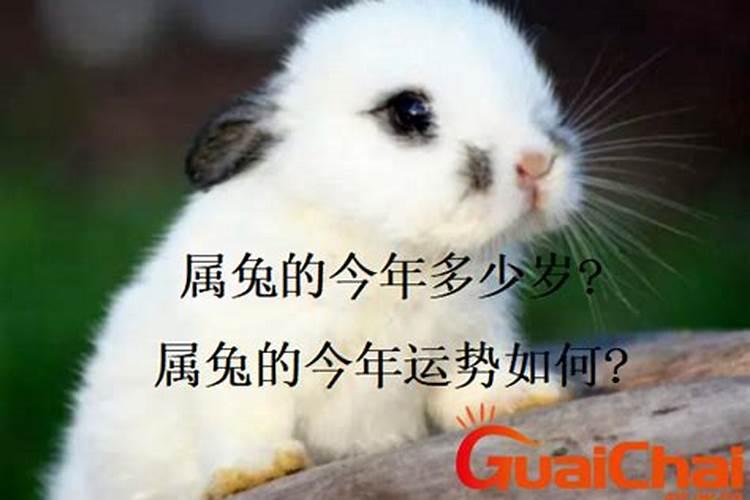 1987年8月23日凌晨6点出生女的命运好不好