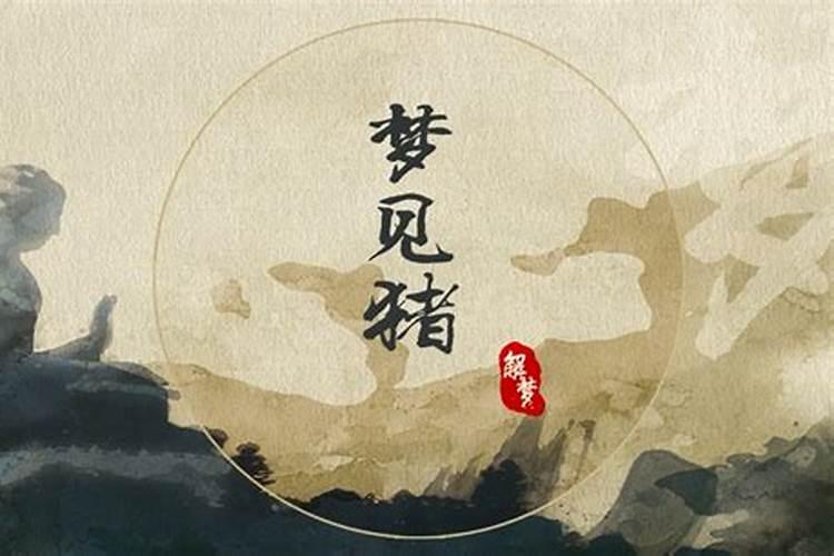兰亭序这首中国风歌曲好听吗？