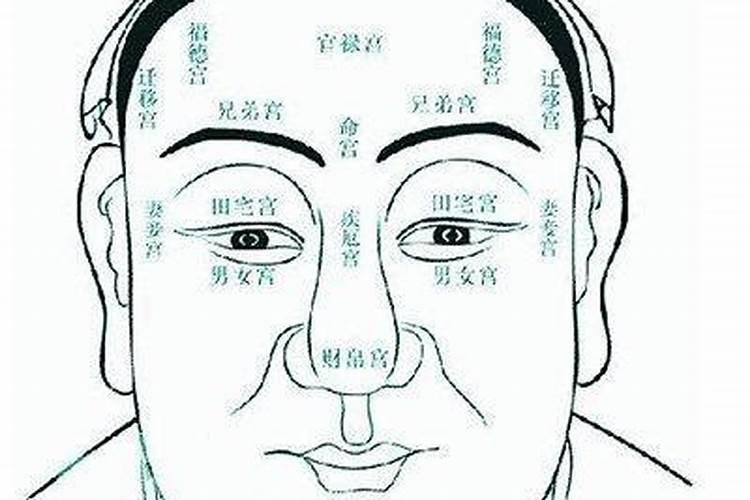 怎样看面相算命图解