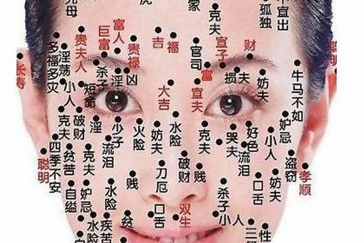 如何看面相算命图解