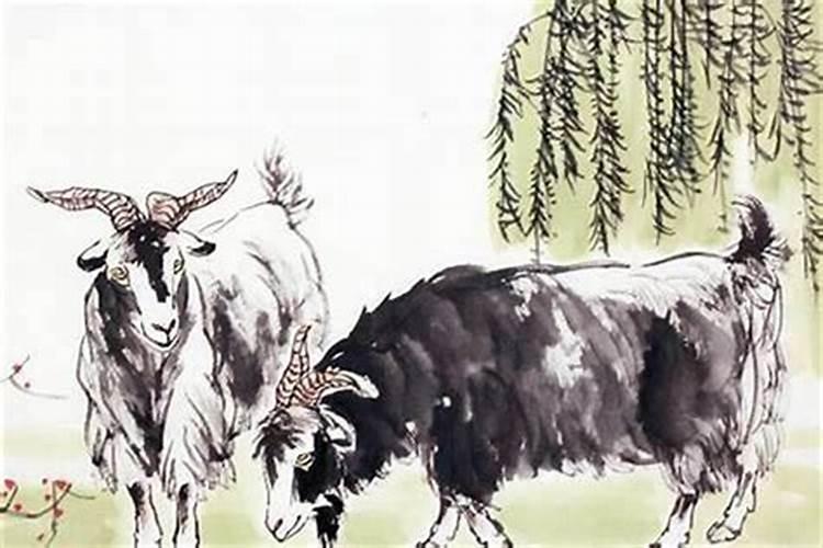 我数羊,路旁土命,1991年阴历6月13出生,请问今年运程如何？要注意什么...
