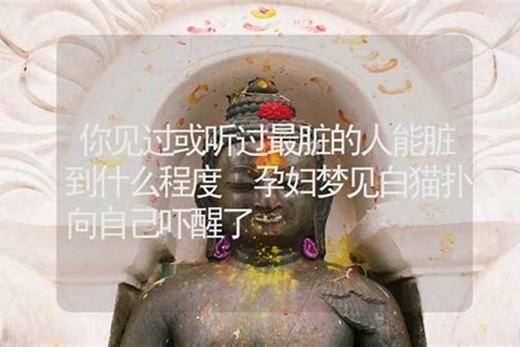 梦见一只猫扑过去就吓醒了