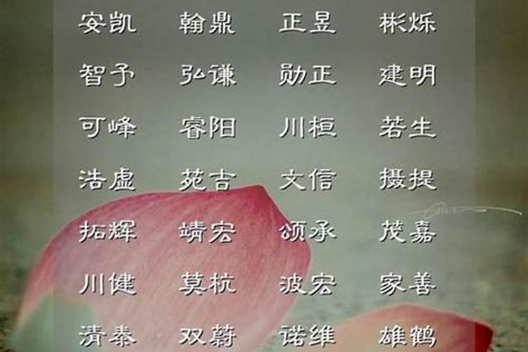 属火女孩名字最佳的字
