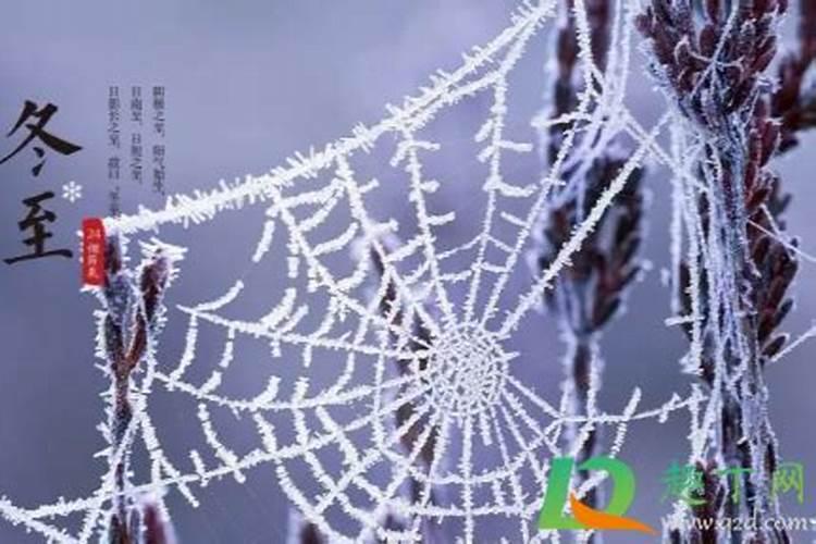 冬至的由来
