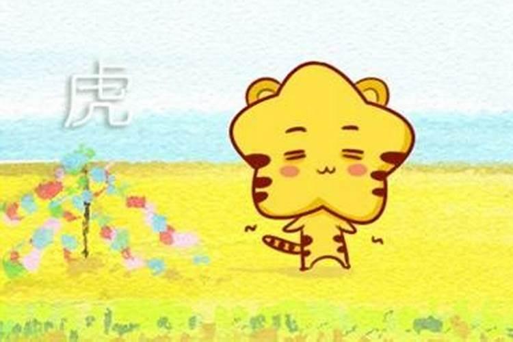梦见儿子中考成绩很好
