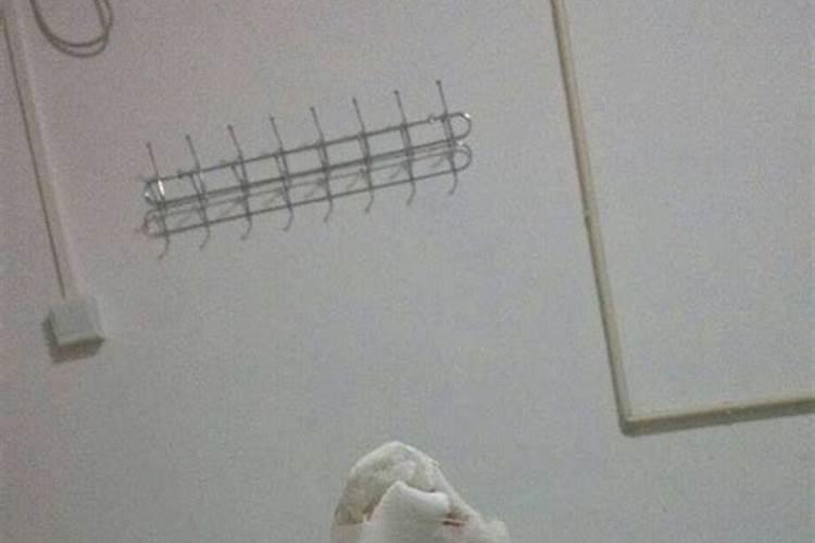 属马人哪一年犯太岁最严重,各方面运势如何