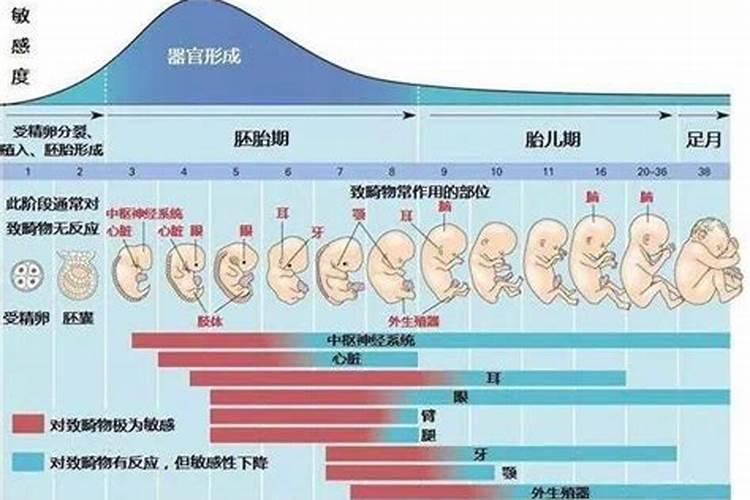 请问我是农历1986年10月20日13点55分出生的五行属什么？