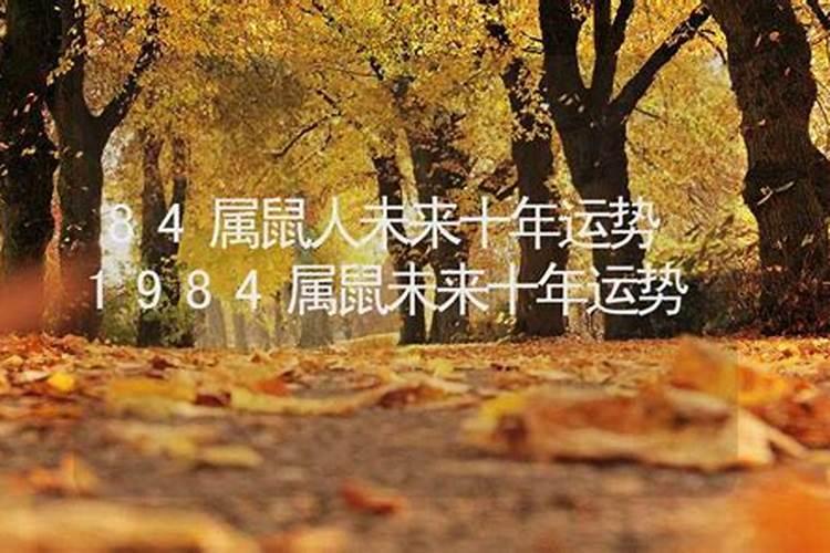1984年属鼠女2025年运势每月运势