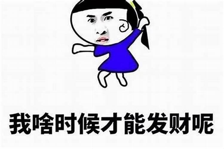 梦见衣服上全是虫子的预兆