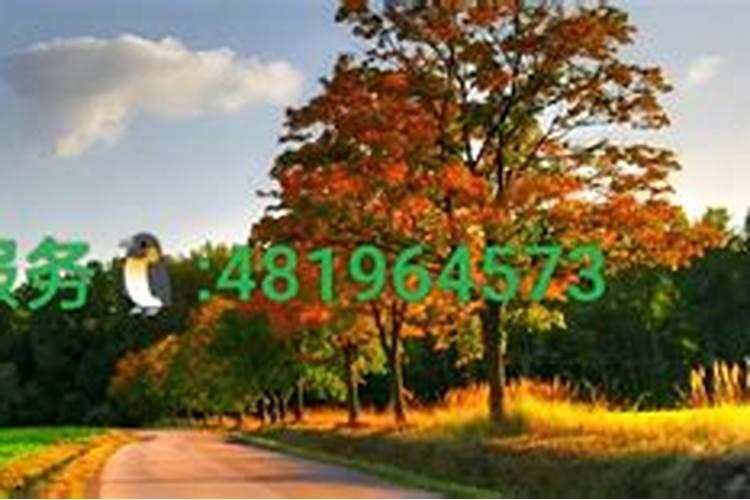 2025属兔人每月运势及运程如何 属兔人2025年运势