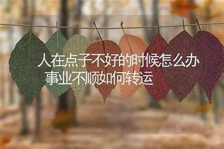 属猴42岁什么命,1980年属猴人42岁后命运财运