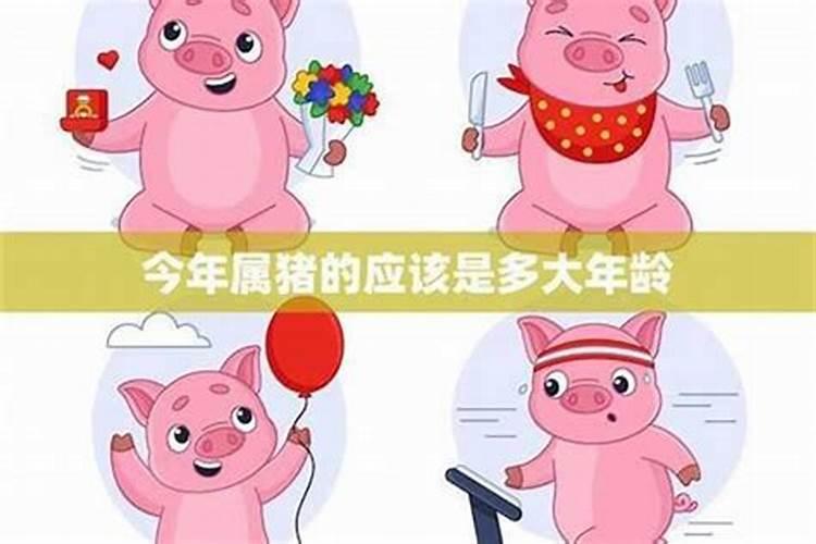 我昨天梦见我前女友怀孕了,请帮我解释一下是什么意思