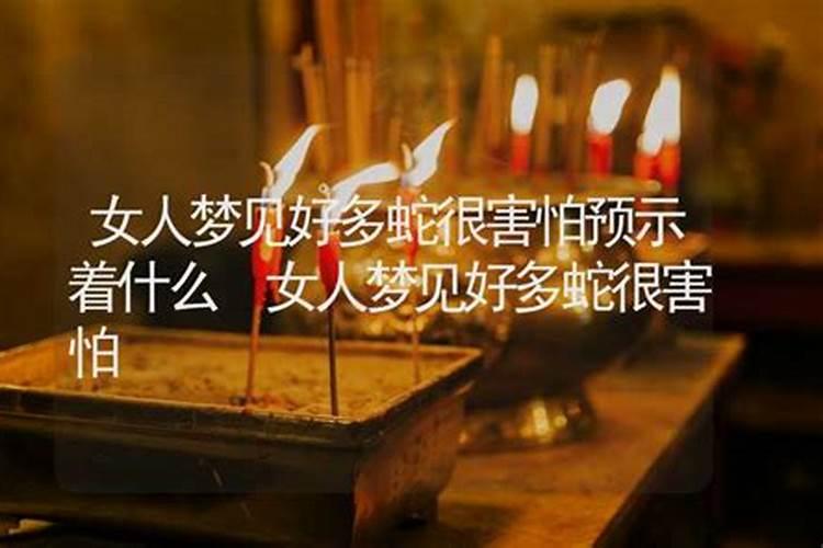 做梦梦到很多蛇意味着什么征兆