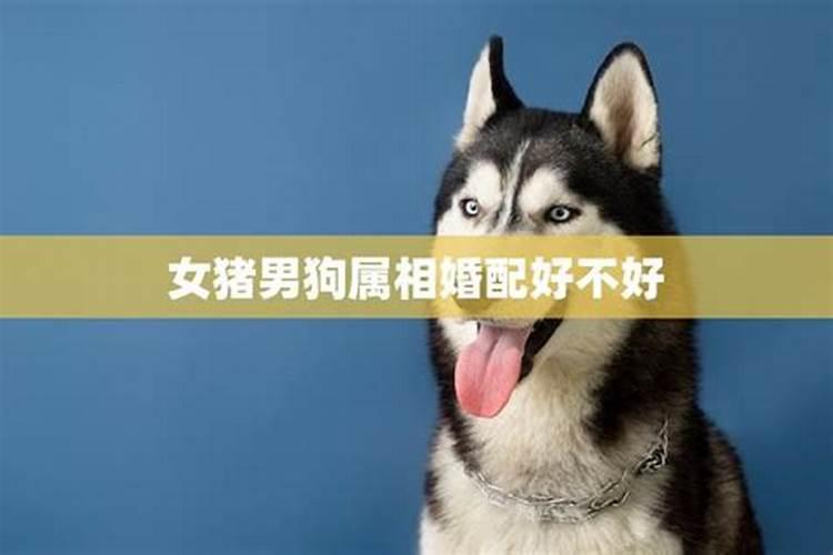 78年属马人2025年运势运程