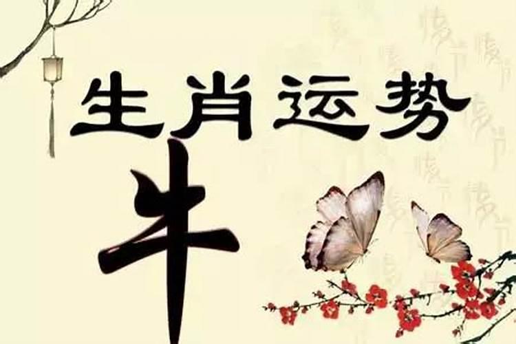 北京周边清明节旅游最佳去处