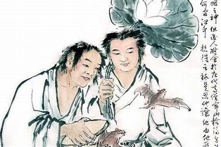 属猪71年农历12月13日出生,请问阳历是几月？
