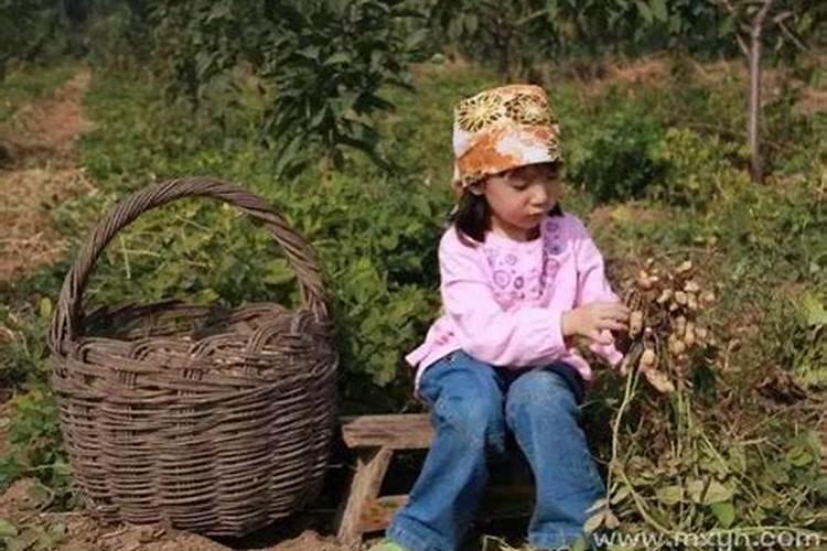 梦见剥花生是什么意思？