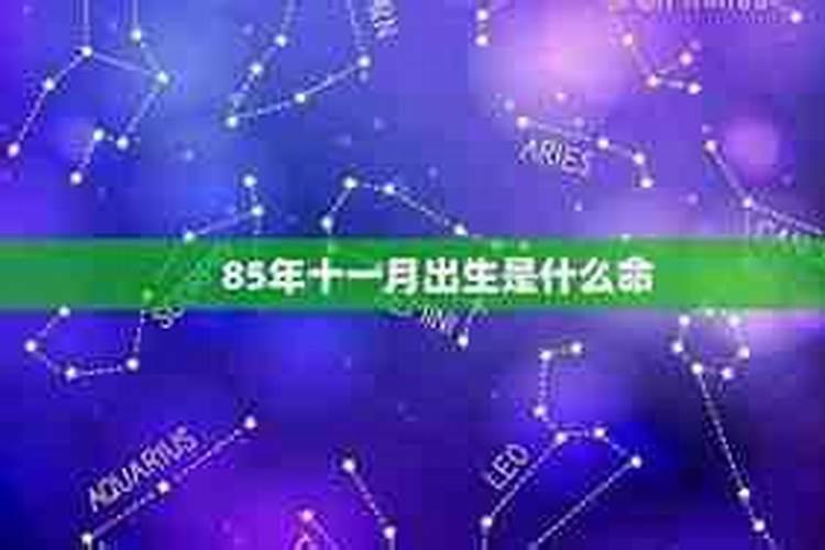 1985属牛2024运势及运程1985属牛2024年运势及运程每月运程