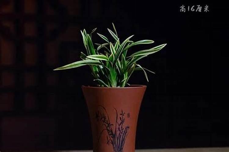 端午节送什么礼品能让人眼前一亮？