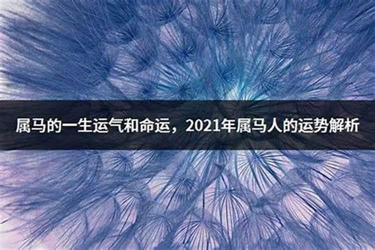 1990属马人一生运势,都说90年属马的命不好
