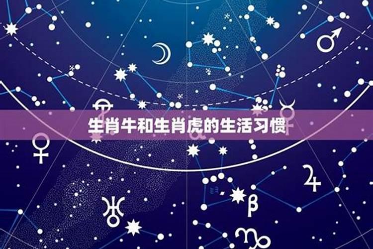 属虎男人和属牛女人相配吗