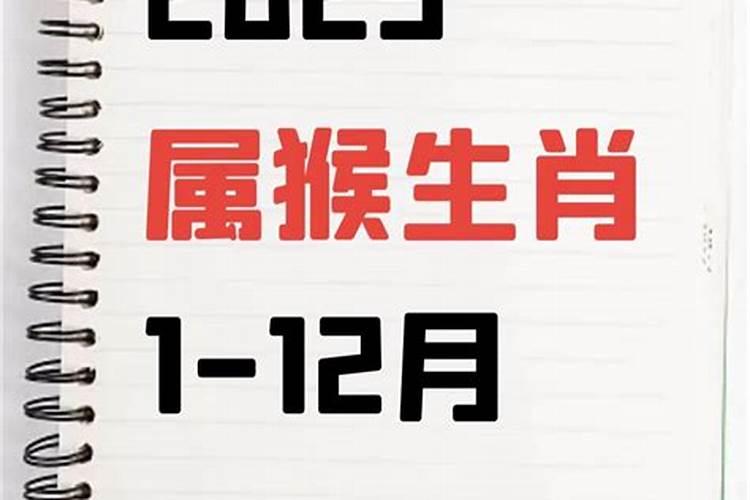 各年属猴人2024年整体运势及运程