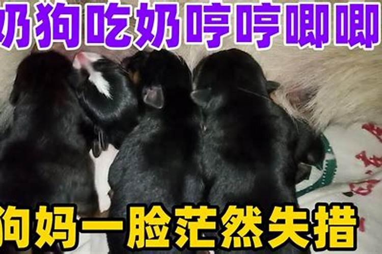 倩女幽魂手游9月1日有哪些区合服
