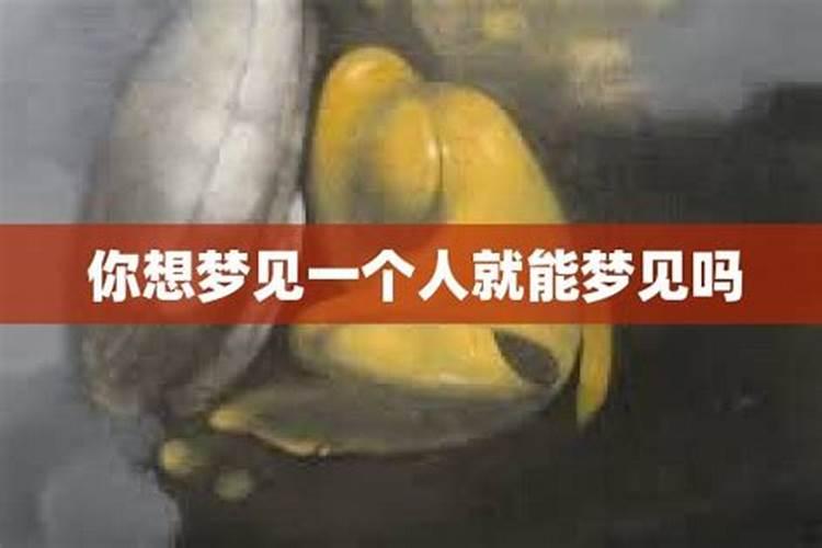 怎么做梦可以梦见想梦的人