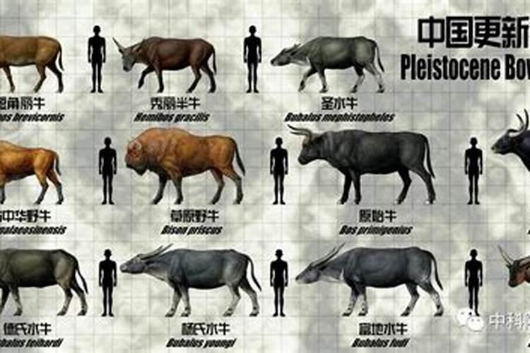 古诗词起名最好的女孩名字99个