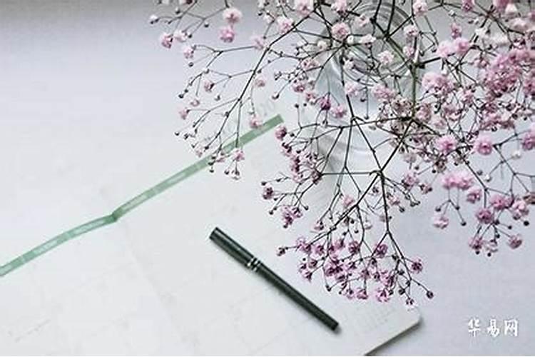属狗女用什么壁纸最旺财